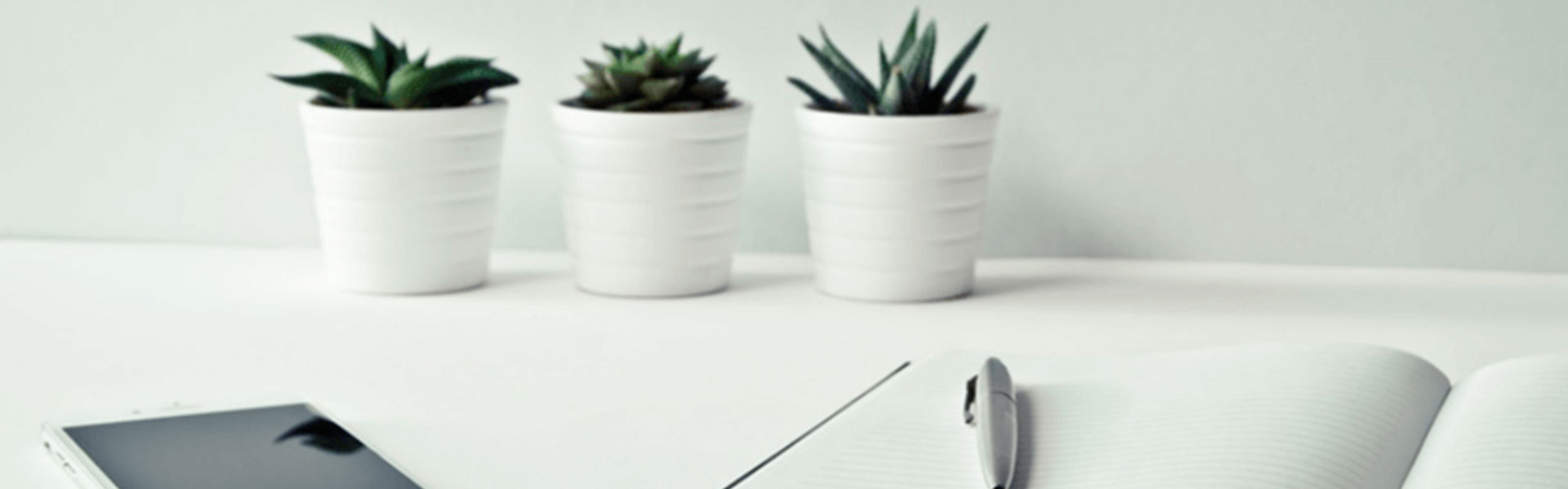Albanian smart business solutions